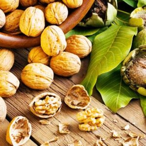 Eat walnuts daily for better gut, heart health